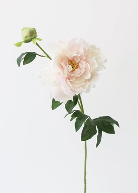 Artificial Peony Flower in Soft Pastel Pink - 30" Tall
