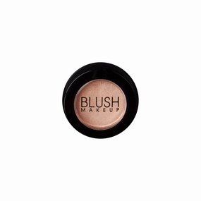 Blush Makeup Cosmetics Spot Light Highlighter