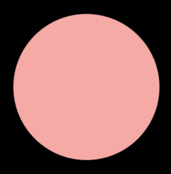 Blush Makeup Cosmetics Spot Light Highlighter