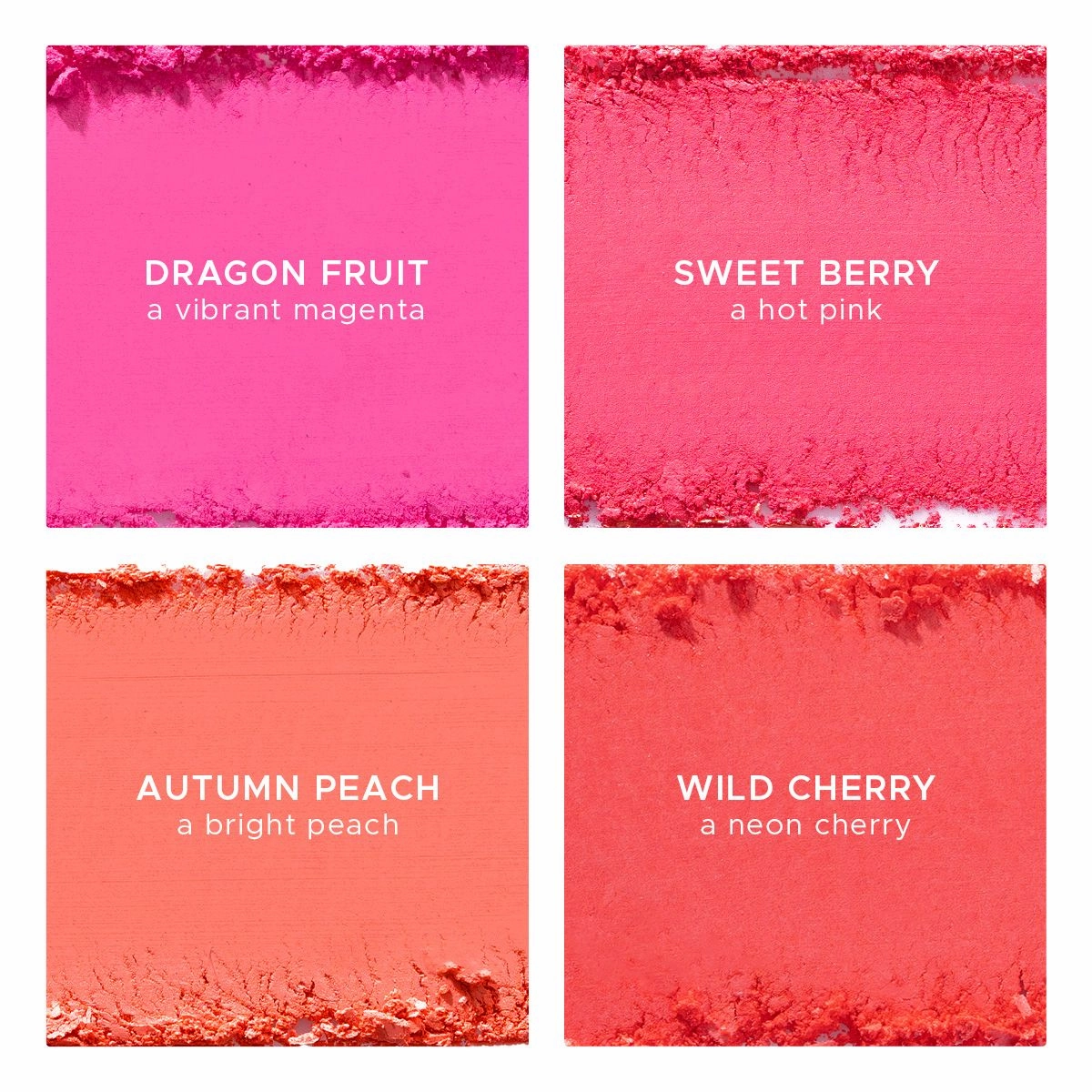 Blush Pop Palette