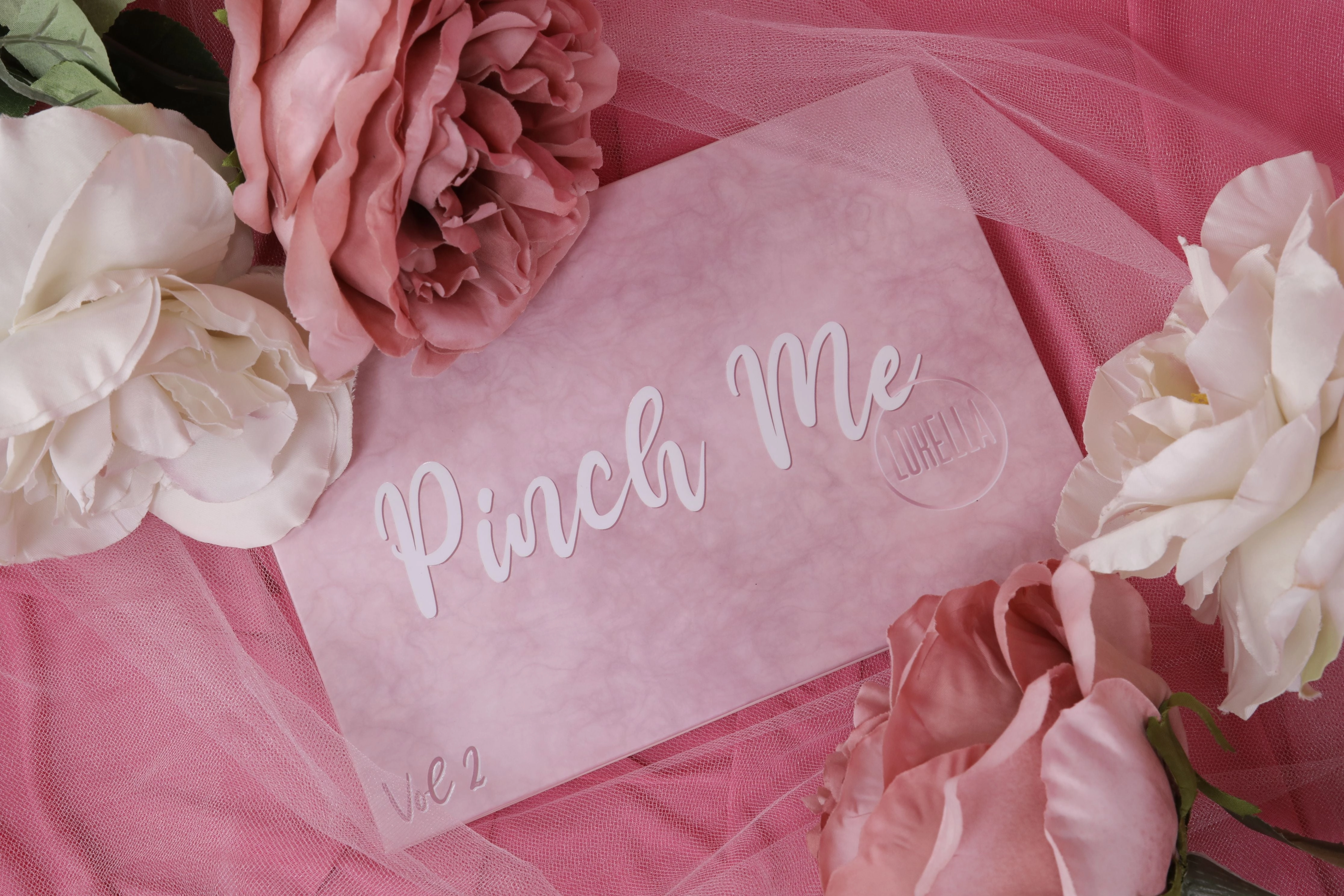 PINCH ME VOL. 2