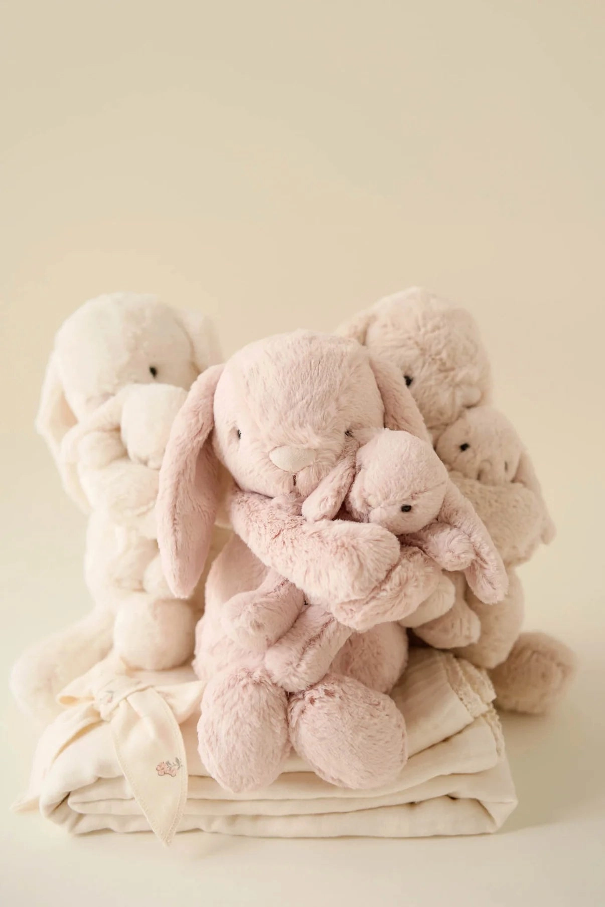 Snuggle Bunnies | Frankie the Bunny | Blush
