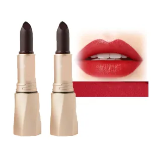 Swarous 2PCS Multi-Functional Long-Lasting Color Lipstick, Matte, Black, Luxury Velvet Non-Stick Cup, Long-Lasting Color, Women (#4 * 2)